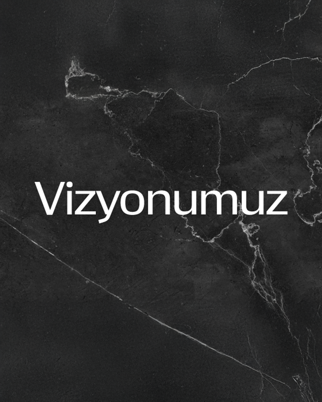 Vizyonumuz